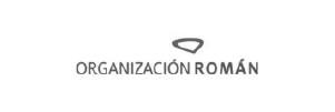 13 organizacion_roman